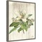 Magnolia de Printemps Flower by Sue Schlabach 16-in. W x 20-in. H. Canvas Wall Art Print Framed in Grey